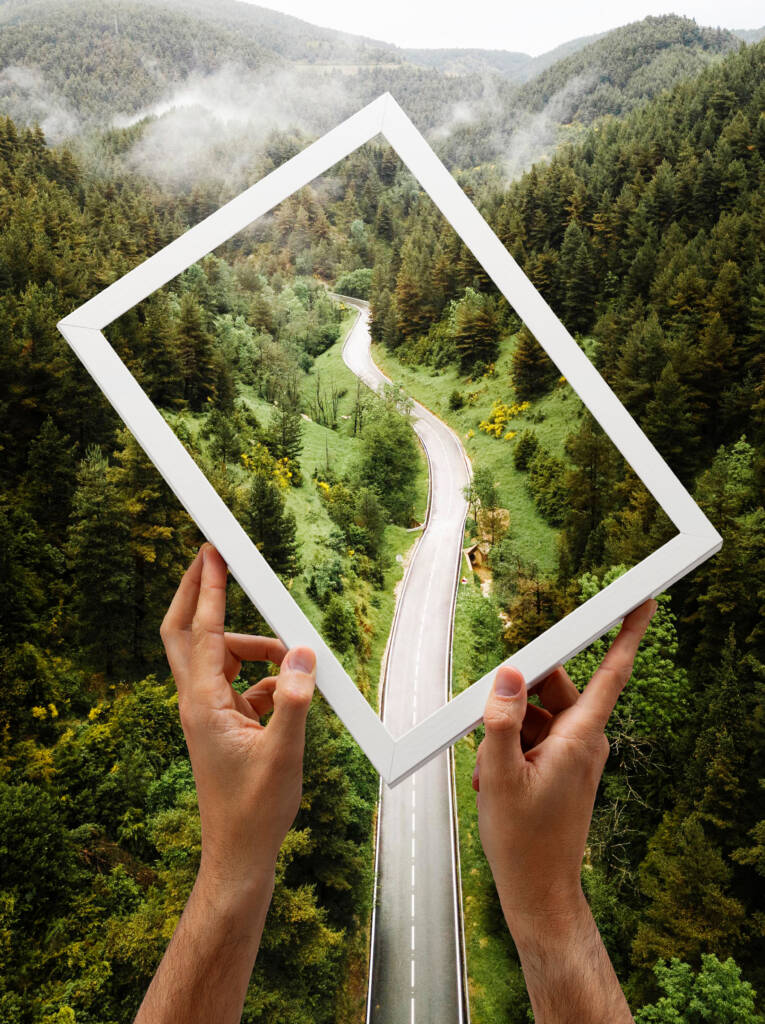 Choose Your Own Path: A Journey Through Nature